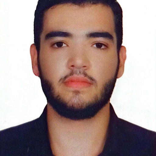 سید علی لاری